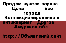 Продам чучело варана. › Цена ­ 15 000 - Все города Коллекционирование и антиквариат » Другое   . Амурская обл.